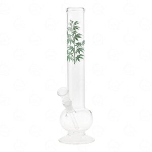 Bongo Szklane Zielona Roślina | 30 cm