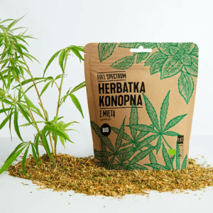Herbatka Konopna - Mięta BIO