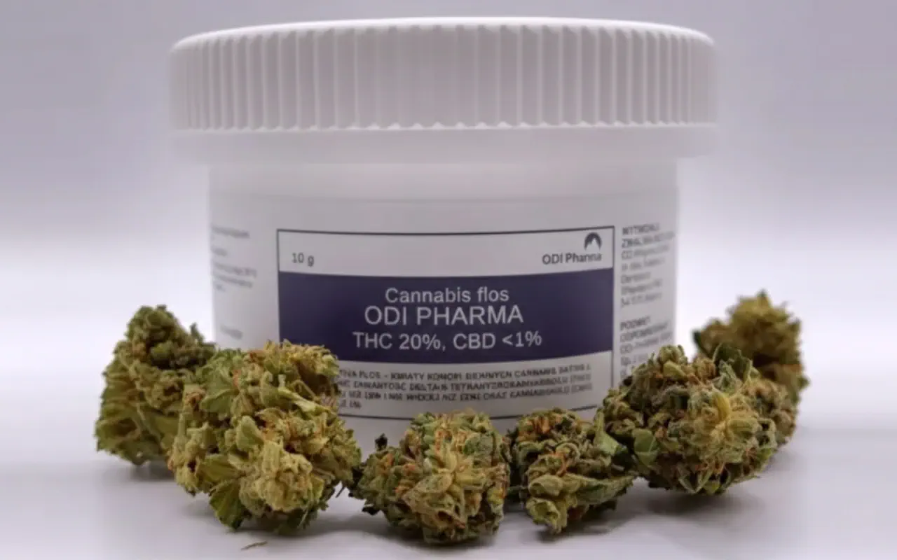 odmiany medycznej marihuany