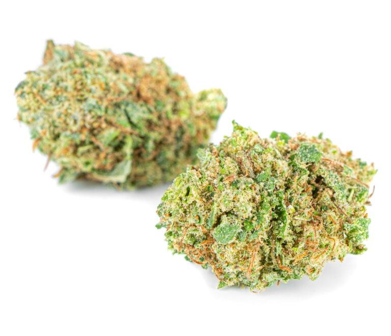susz-cbd-lemon-haze-exclusiveweed-sklep-cbd-1g-2g-3g-4g-5g-10g-20g-30g-40g-50g-100g-200g-300g-400g-500g-1000g-1kg-2kg-5kg-10kg-hurt-detal-1-3