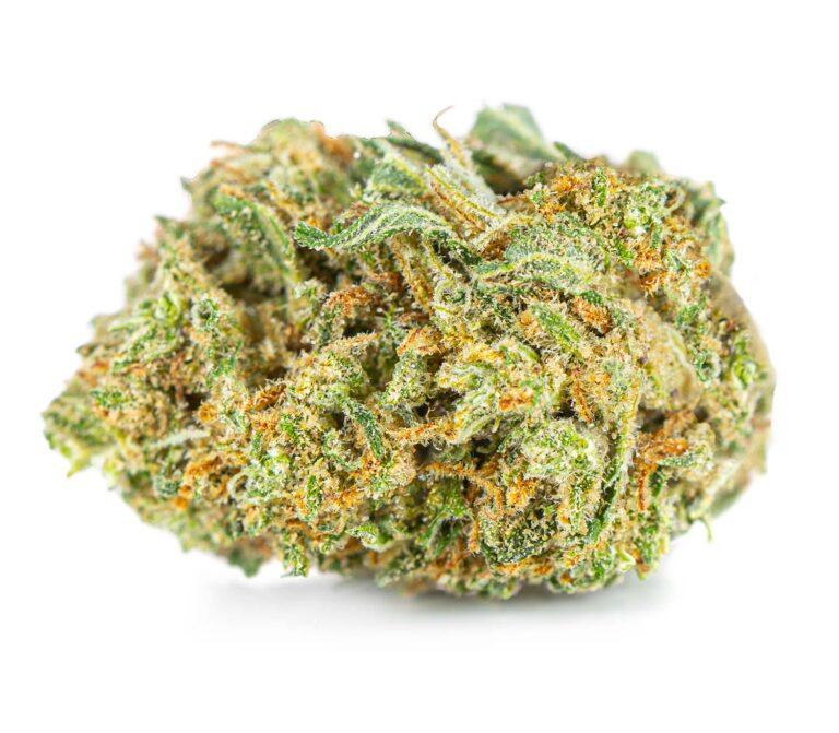 susz-cbd-white-widow--exclusiveweed-sklep-cbd-1g-2g-3g-4g-5g-10g-20g-30g-40g-50g-100g-200g-300g-400g-500g-1000g-1kg-2kg-5kg-10kg-hurt-detal-3