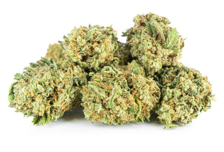 susz-cbd-white-widow--exclusiveweed-sklep-cbd-1g-2g-3g-4g-5g-10g-20g-30g-40g-50g-100g-200g-300g-400g-500g-1000g-1kg-2kg-5kg-10kg-hurt-detal-3