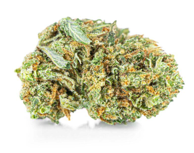 susz-cbd-amnesia-haze--exclusiveweed-sklep-cbd-1g-2g-3g-4g-5g-10g-20g-30g-40g-50g-100g-200g-300g-400g-500g-1000g-1kg-2kg-5kg-10kg-hurt-detal-1-3