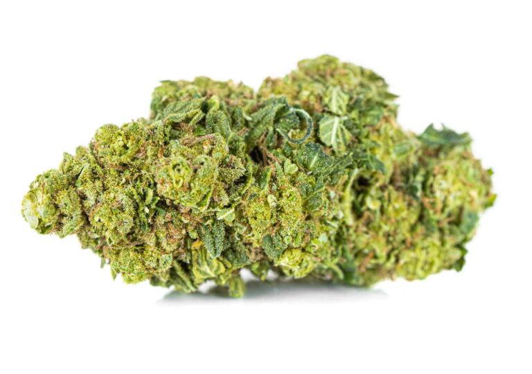 susz-cbd-ak-47-super-ammsterdam-MaryJane 05