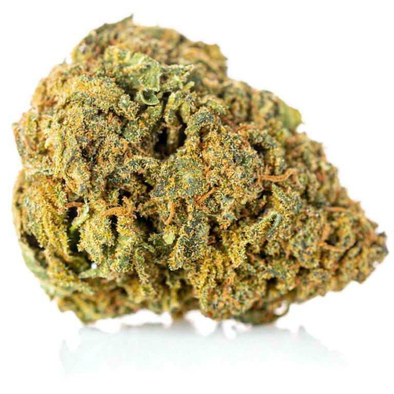 susz-cbd-cannatonic-MaryJane 01