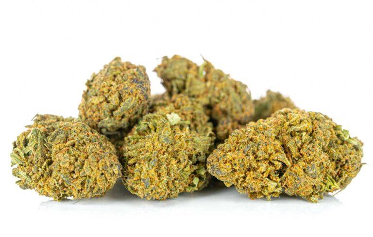 susz-cbd-cannatonic-MaryJane 01