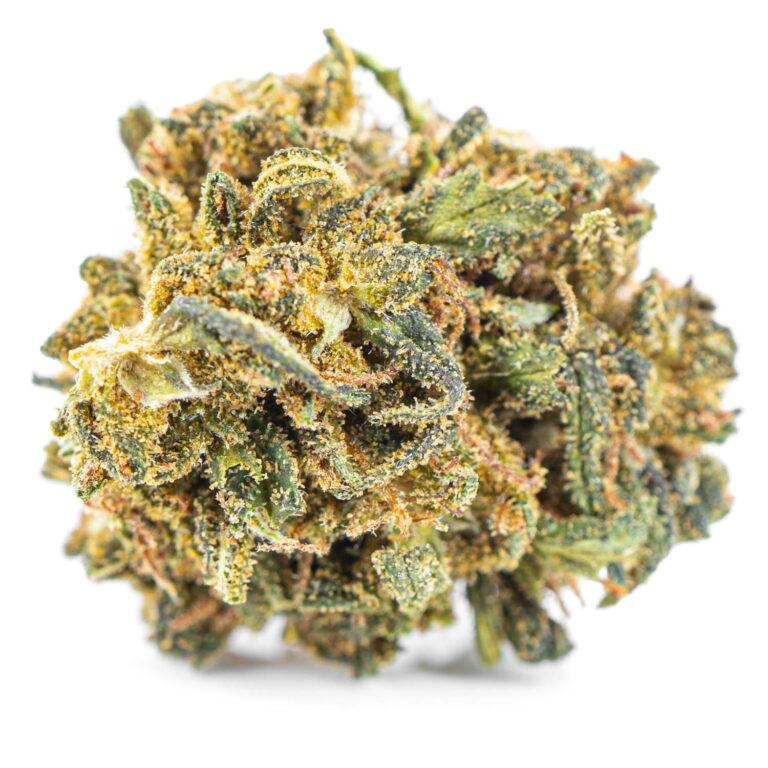 susz-cbd-konopny-bubble-gum-MaryJane 01