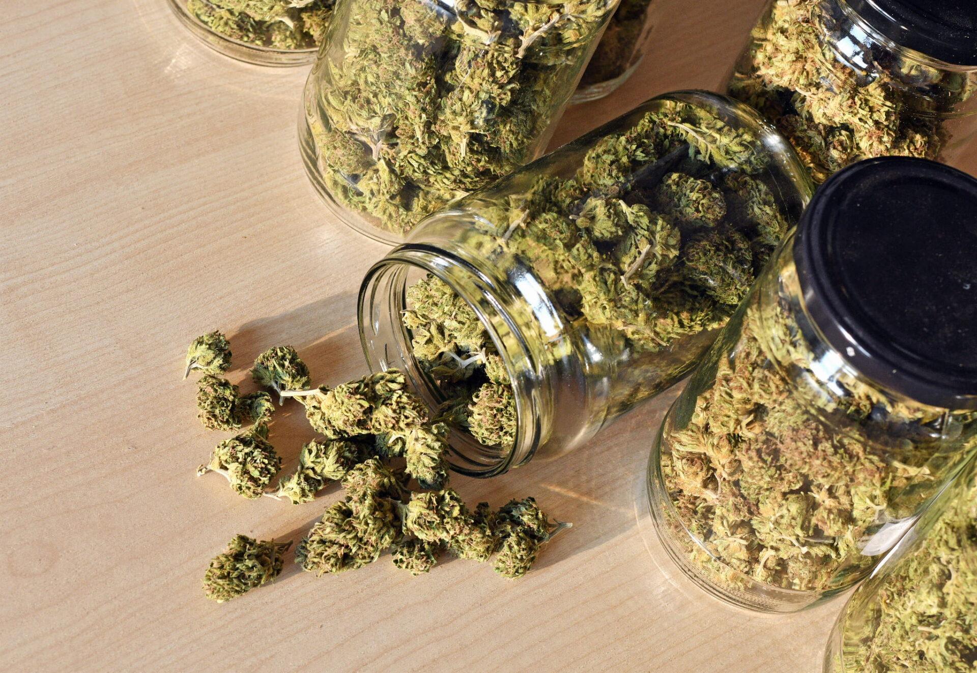CBD Kwiaty Konopi ”AK 47” do 27% CBD - obrazek 6