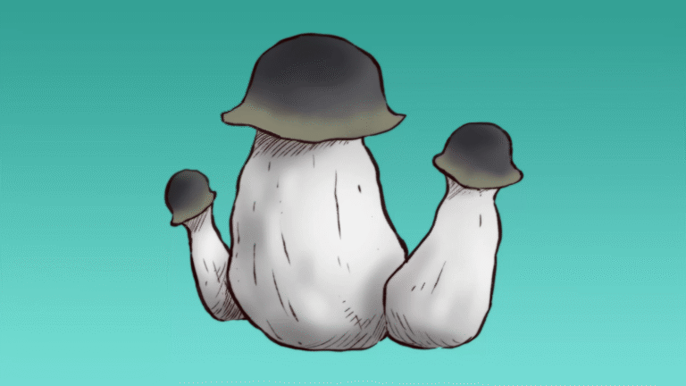 APE-01-
