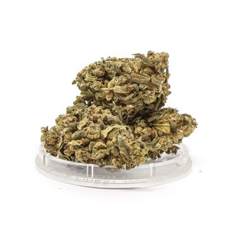 Green-C-01