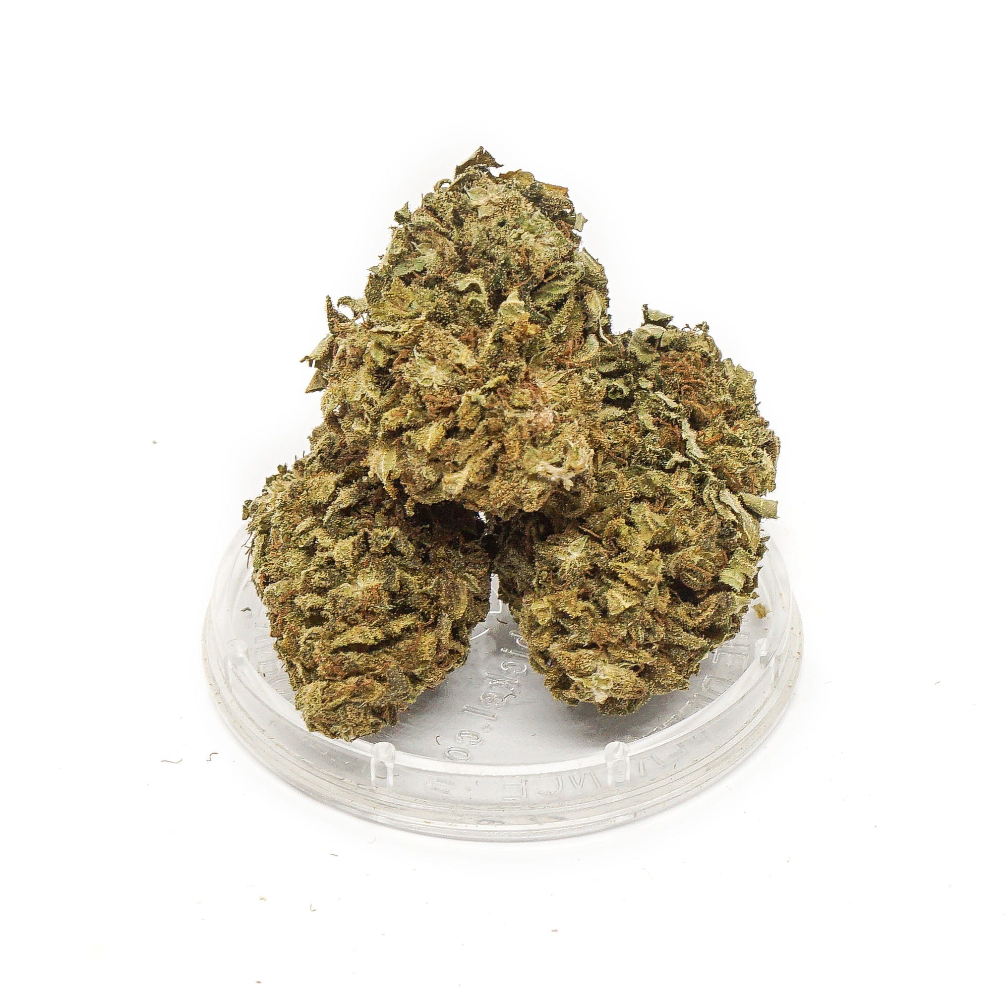 CBD Kwiaty Konopi ”HAWAI HAZE” - obrazek 3