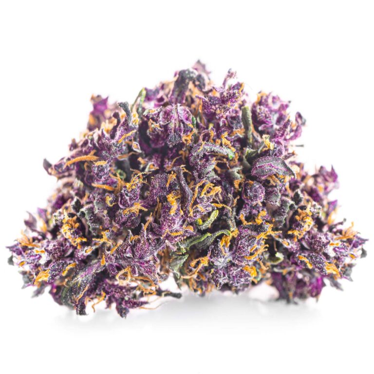 purple-haze-01