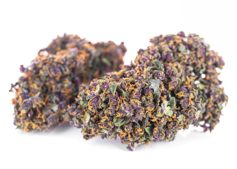 purple-haze-01