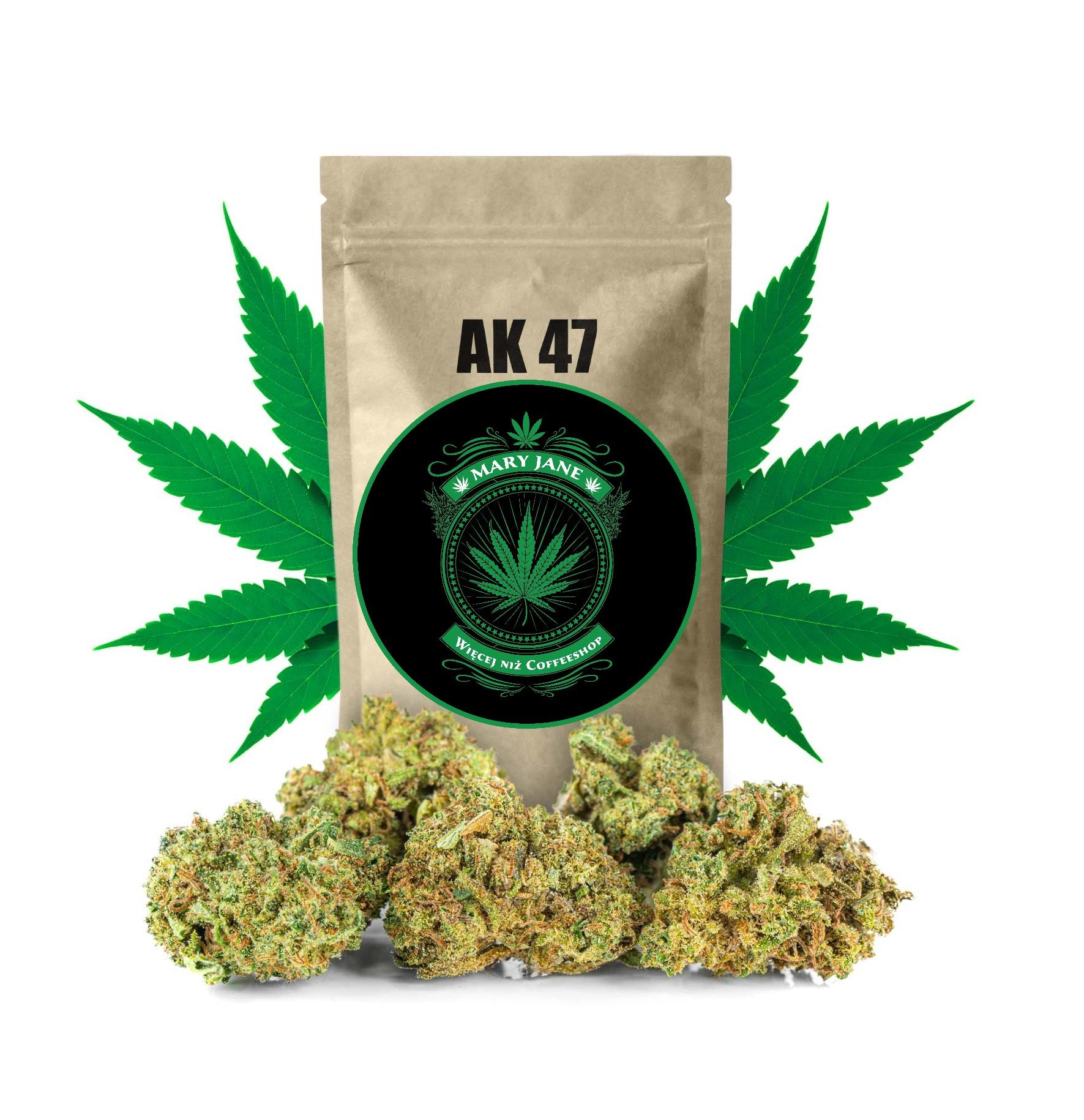 CBD Kwiaty Konopi ”AK 47” do 27% CBD - obrazek 4