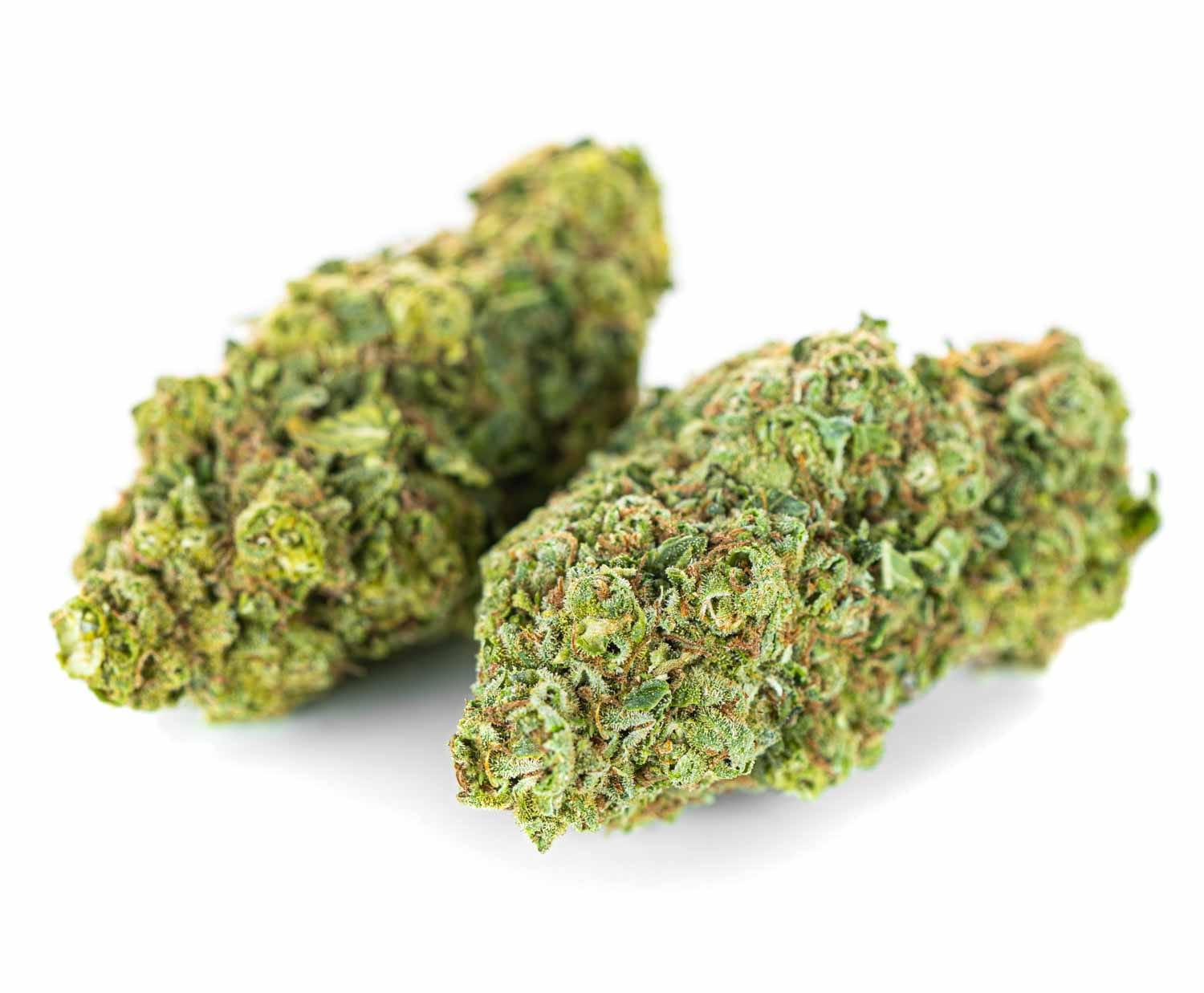 CBD Kwiaty Konopi ”AK 47” do 27% CBD. "Super Amsterdam" - obrazek 6