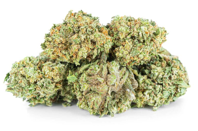 susz-cbd-amnesia-haze-exclusiveweed-sklep-cbd-1g-2g-3g-4g-5g-10g-20g-30g-40g-50g-100g-200g-300g-400g-500g-1000g-1kg-2kg-5kg-10kg-hurt-detal-1-3